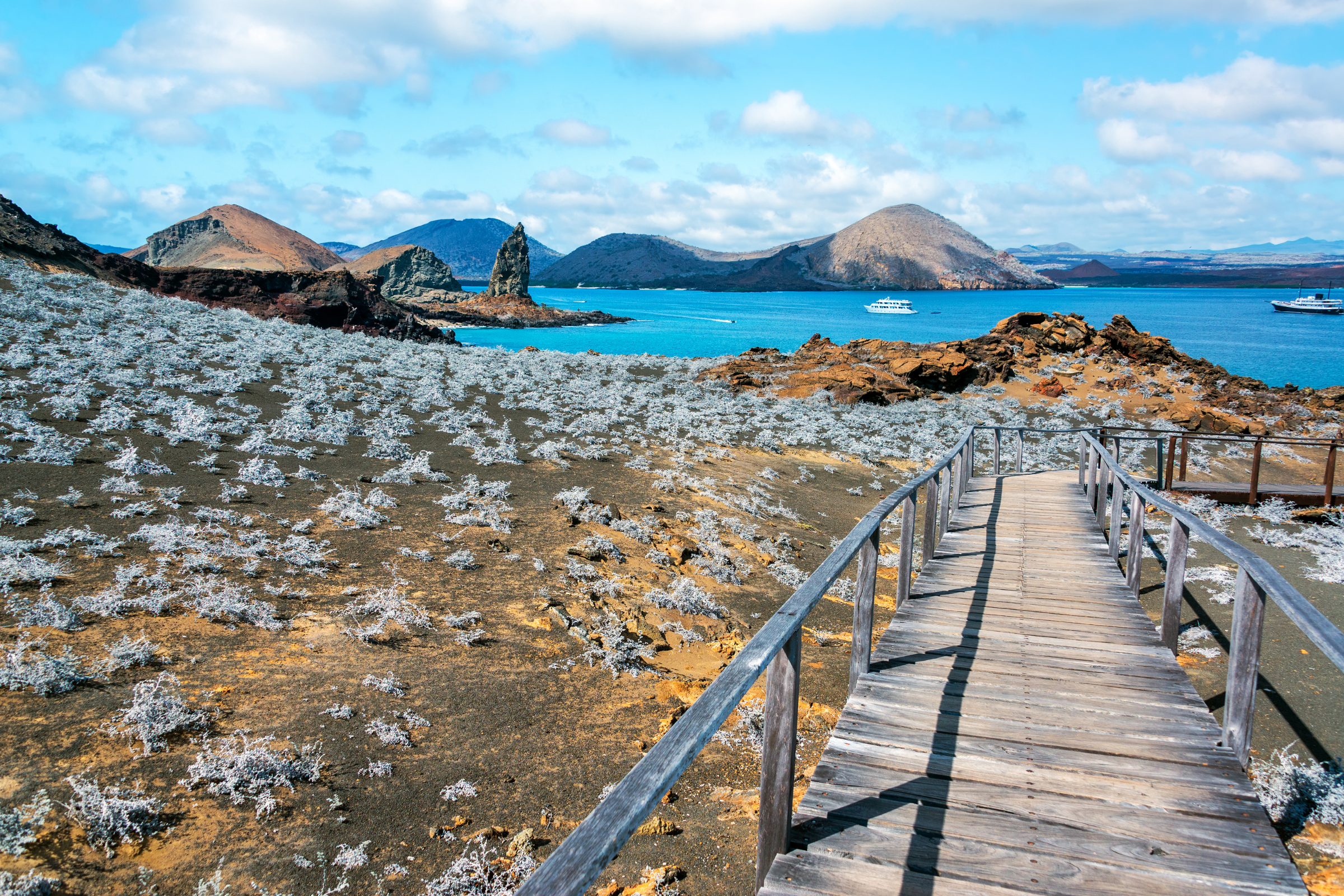 buccaneer cove, santiago island, galapagos islands.webp